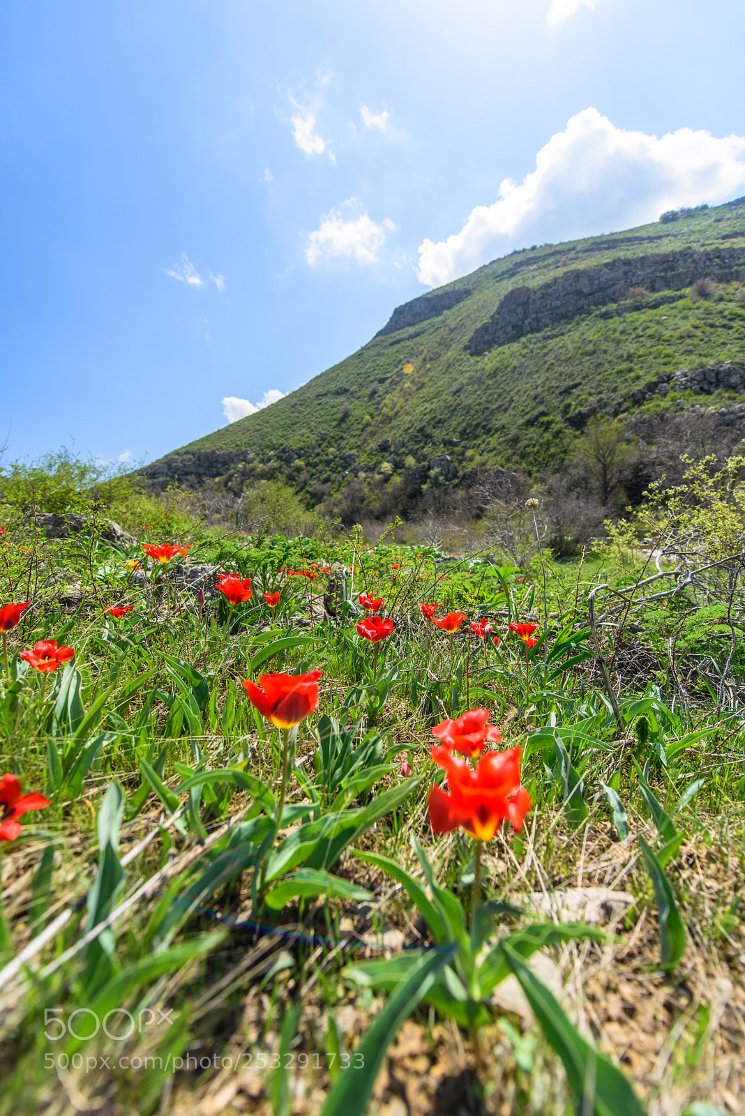 Nikon D810 sample photo. The karatau mountains photography