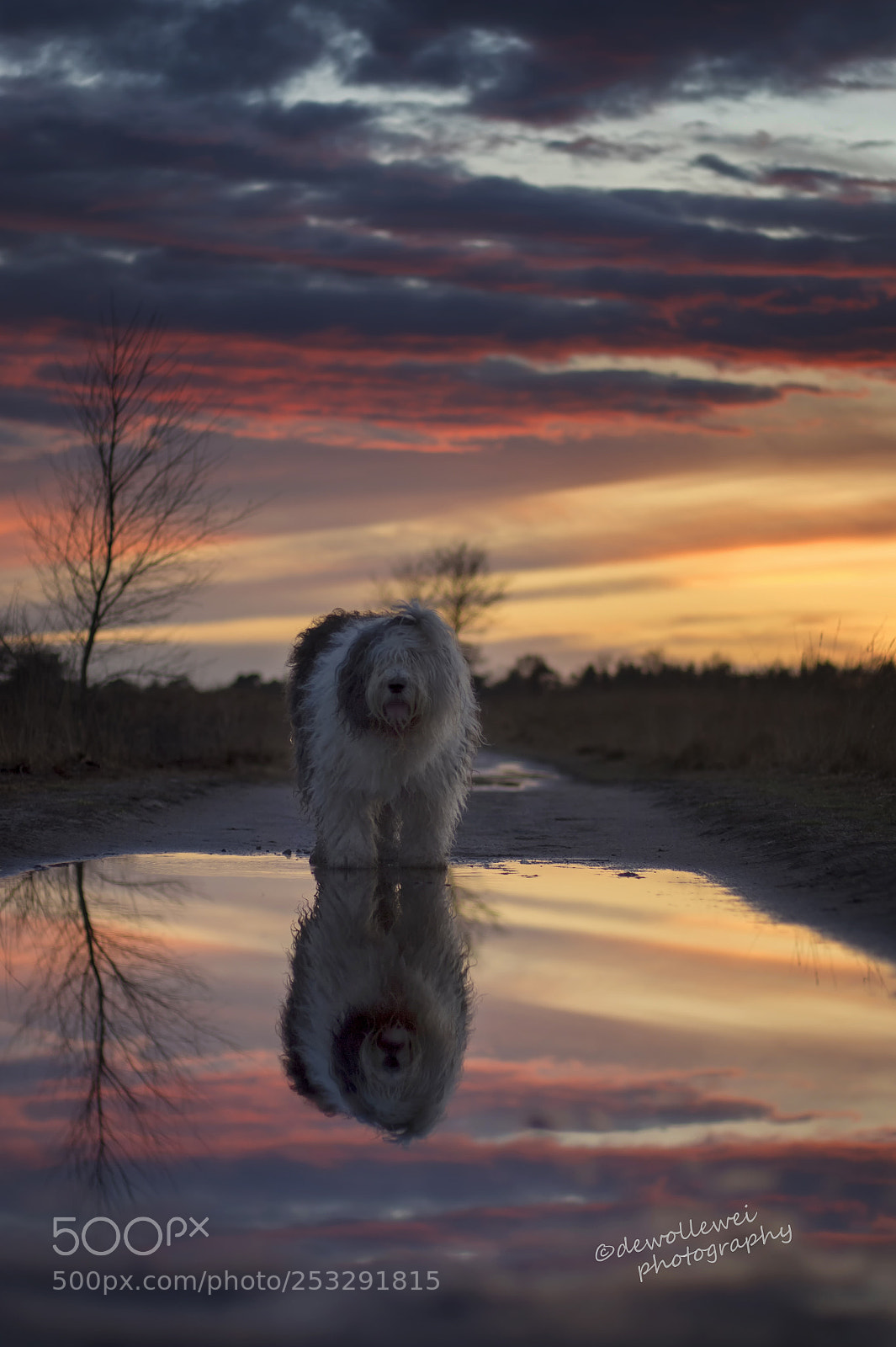Canon EOS 7D Mark II sample photo. Scarlett's sunset photography