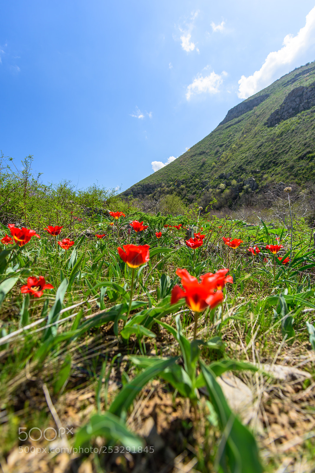Nikon D810 sample photo. The karatau mountains photography