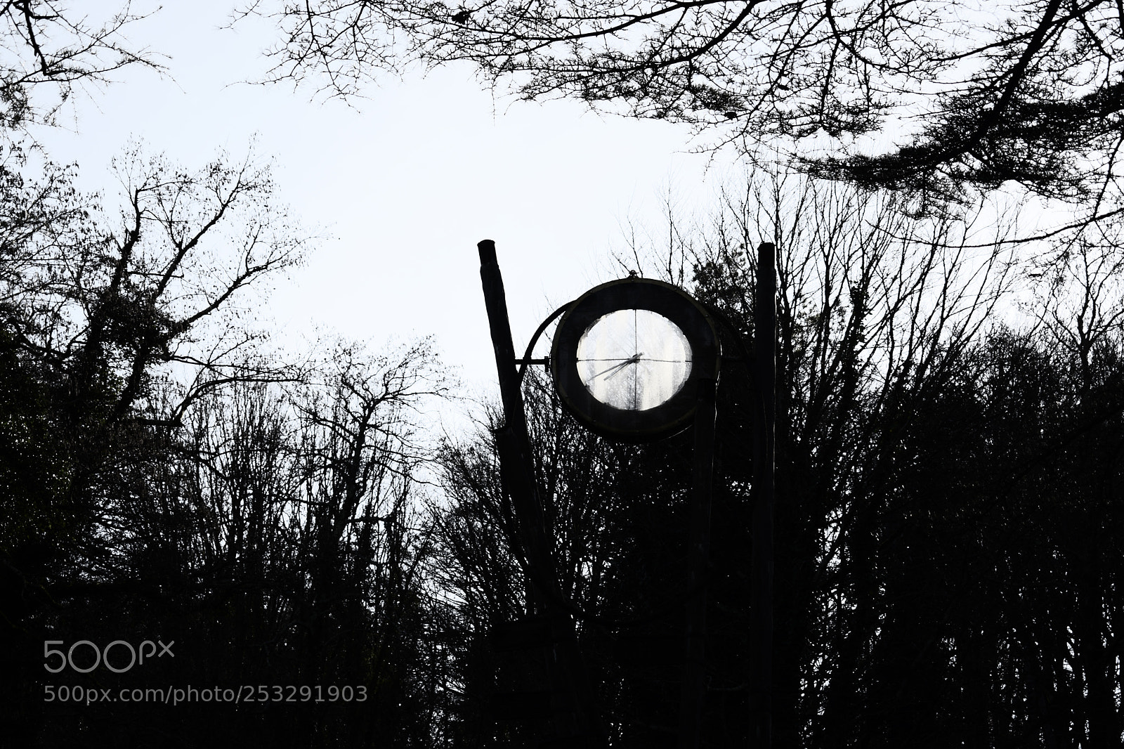 Nikon D5300 sample photo. Sataflia photography