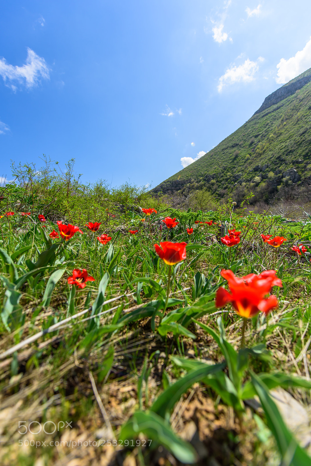 Nikon D810 sample photo. The karatau mountains photography