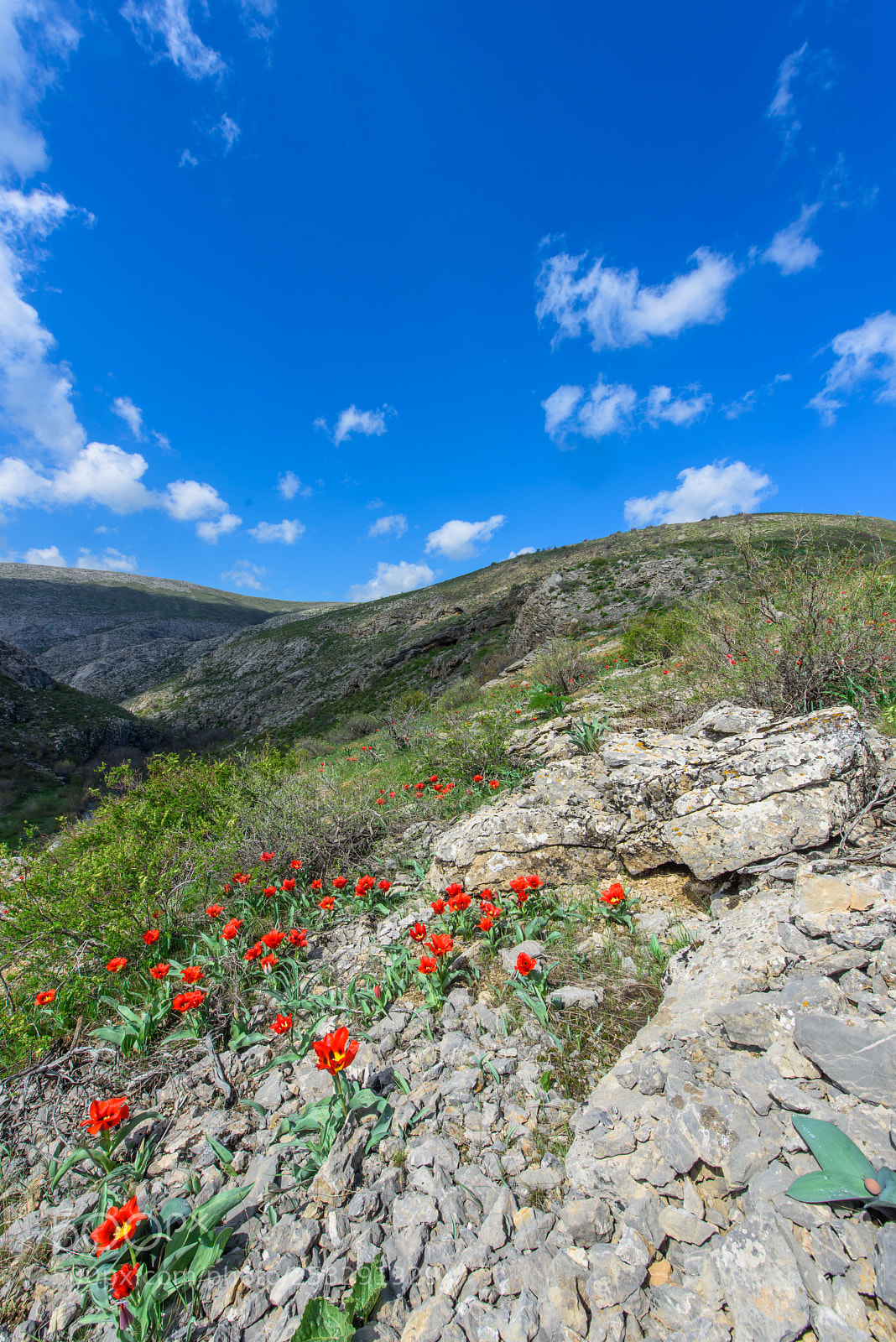 Nikon D810 sample photo. The karatau mountains photography
