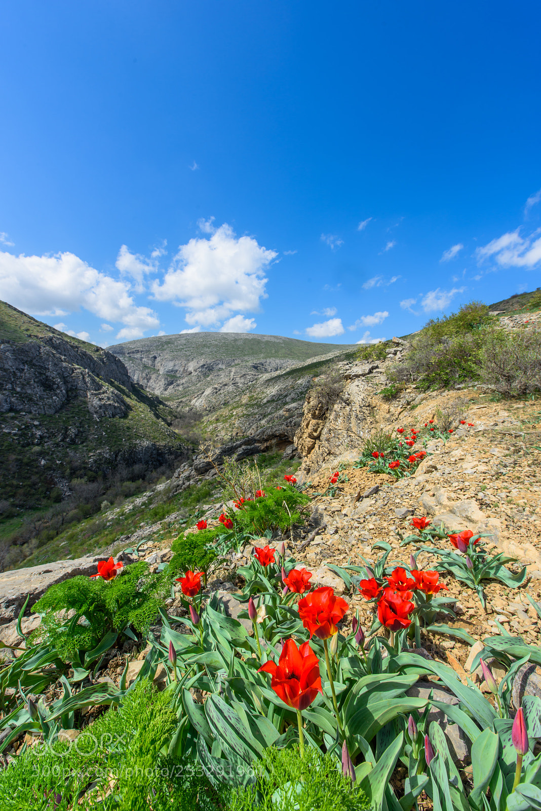 Nikon D810 sample photo. The karatau mountains photography