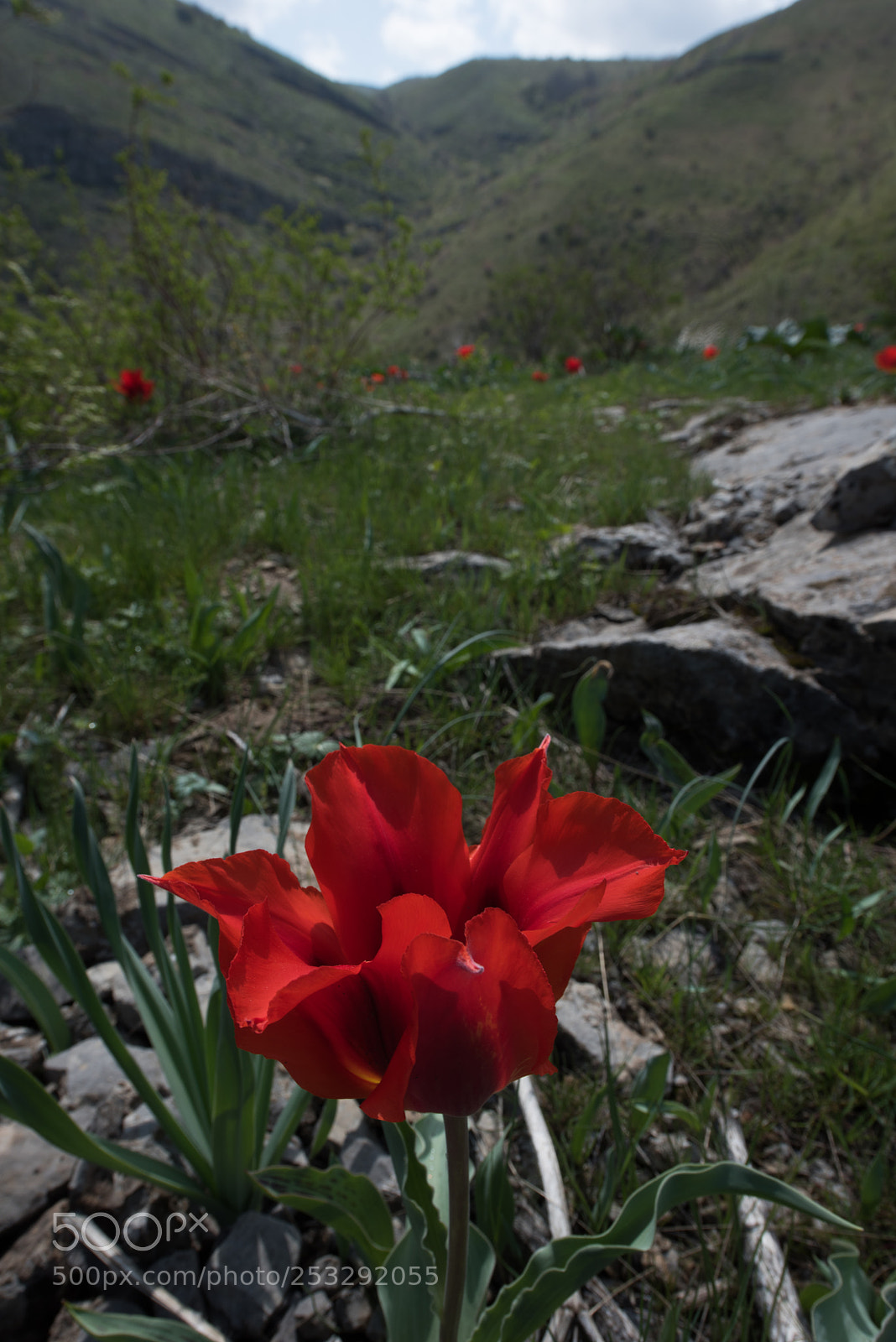 Nikon D810 sample photo. The karatau mountains photography