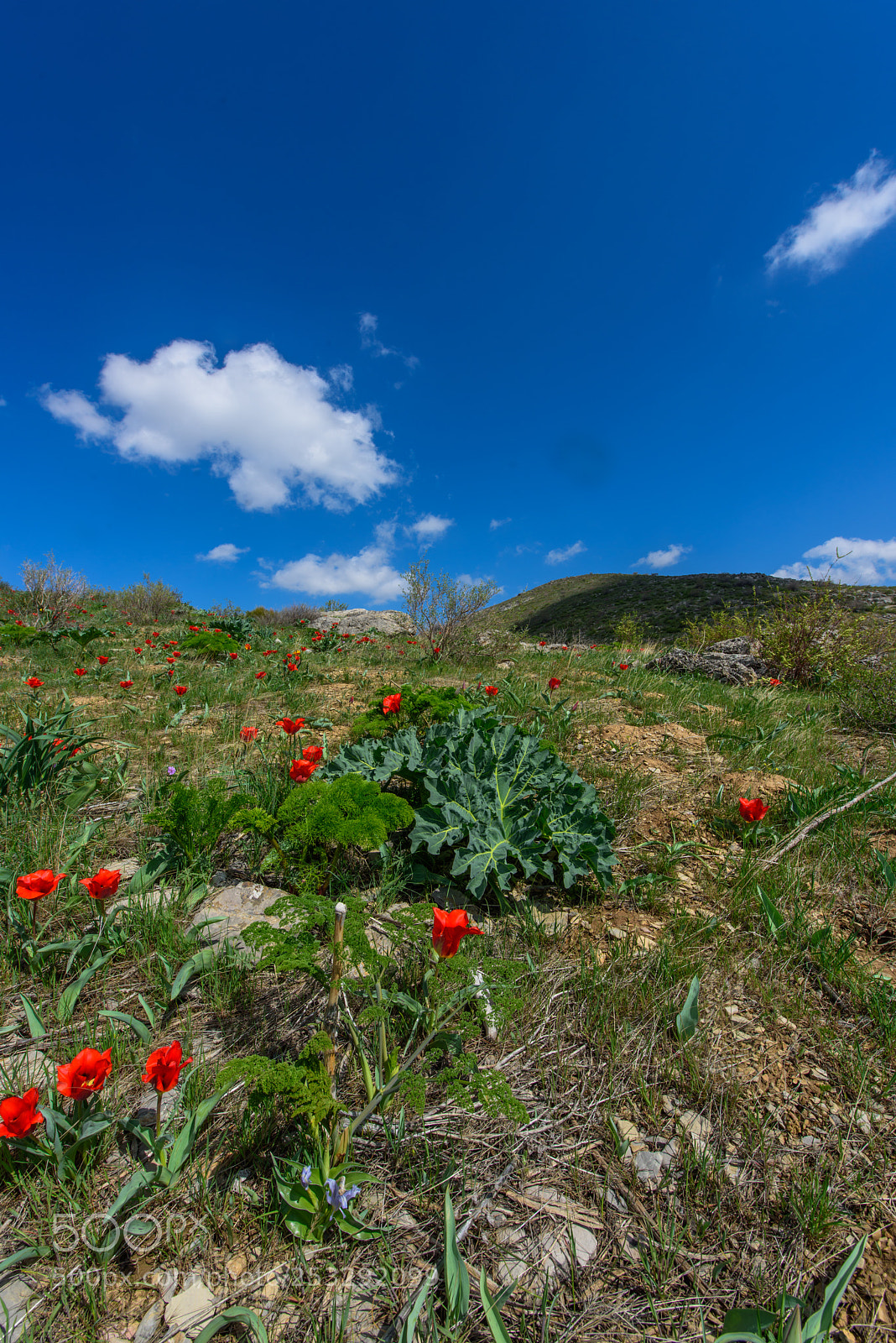 Nikon D810 sample photo. The karatau mountains photography