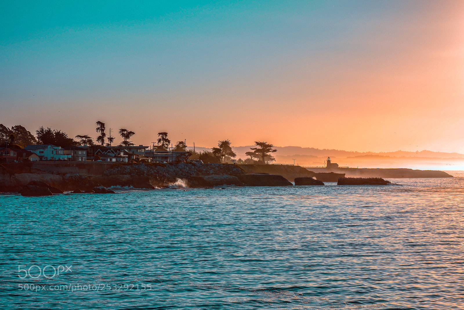 Nikon D3100 sample photo. West cliff, santa cruz photography