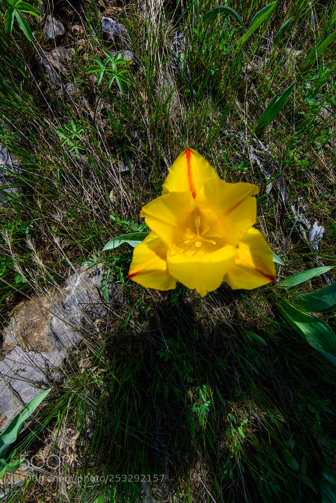 Nikon D810 sample photo. The karatau mountains photography