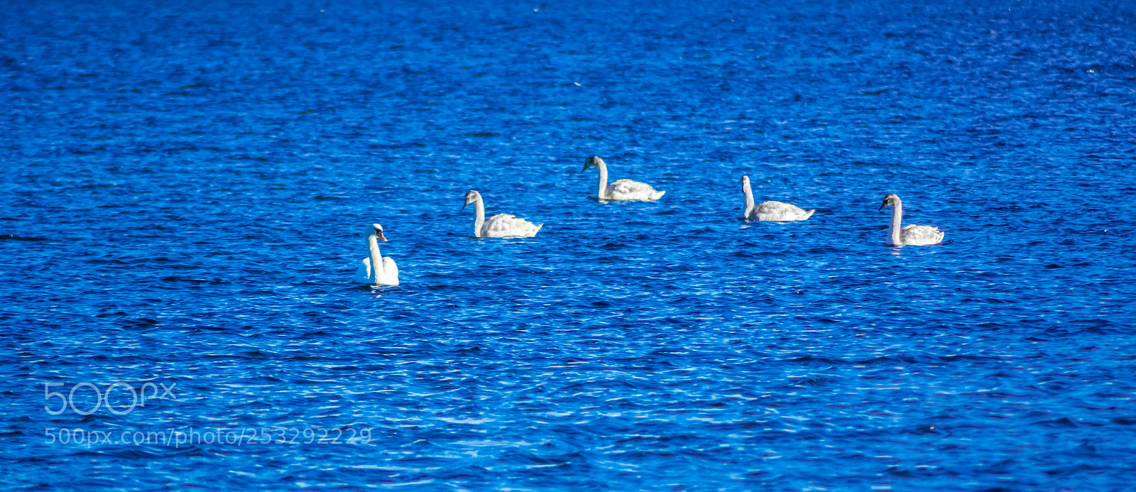 Nikon D7100 sample photo. Tranquility photography