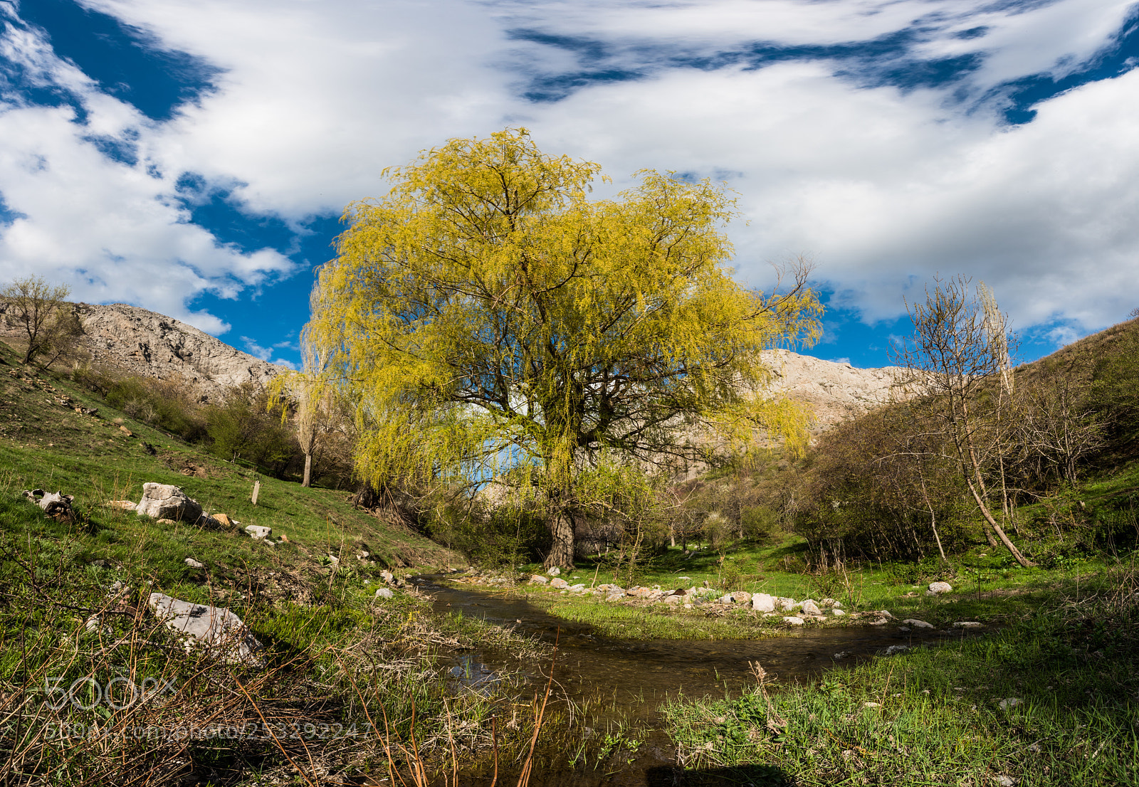 Nikon D810 sample photo. The karatau mountains photography