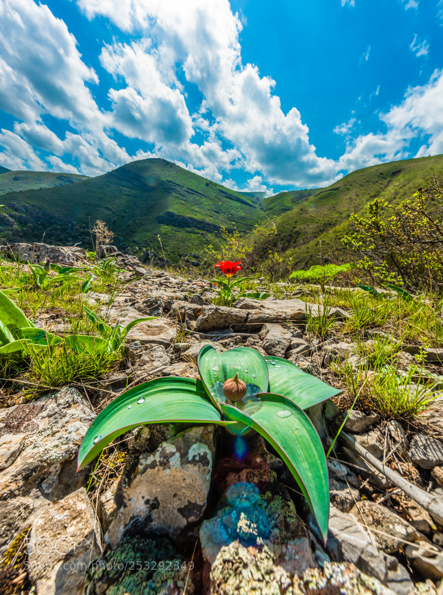 Nikon D810 sample photo. The karatau mountains photography