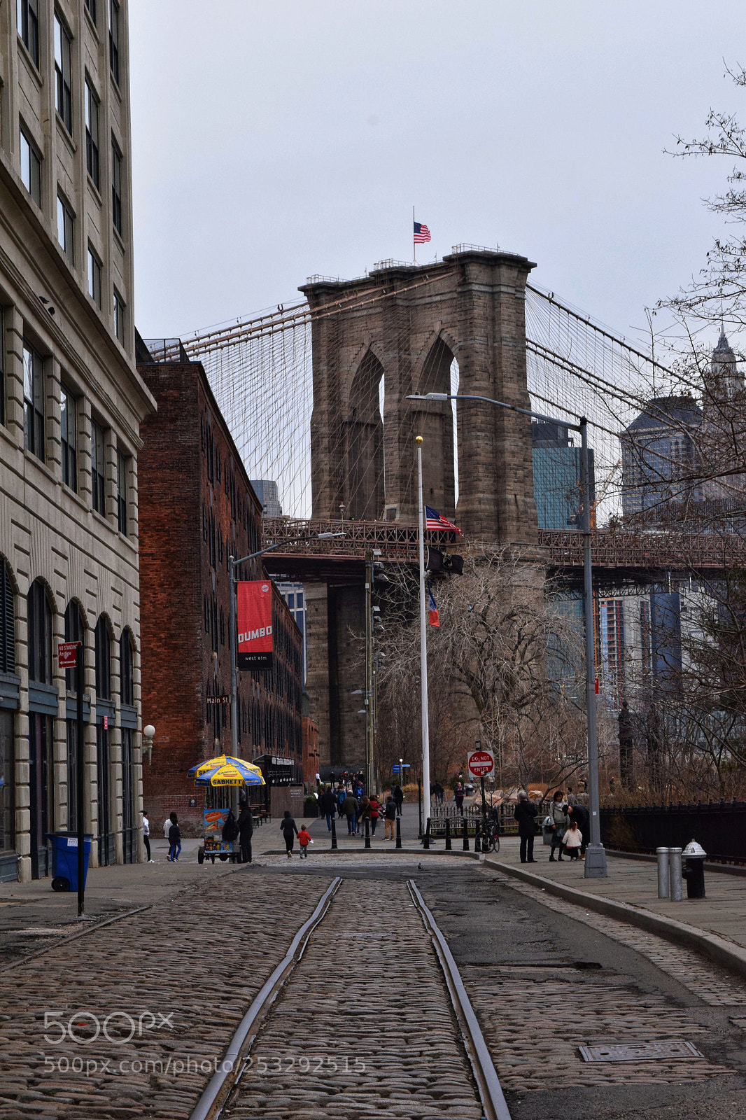 Nikon D5300 sample photo. Dumbo photography