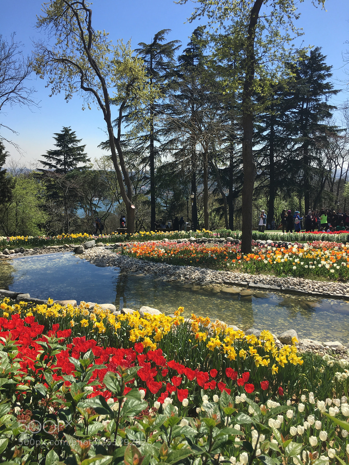 Apple iPhone 6s sample photo. Spring spell photography