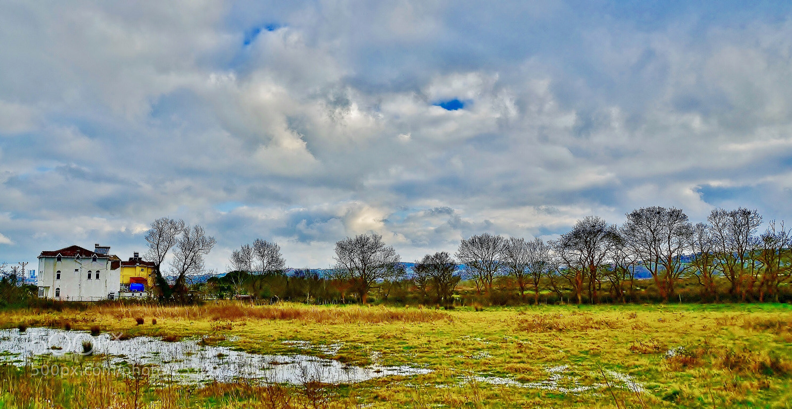 Nikon D7000 sample photo. Trfk less photography