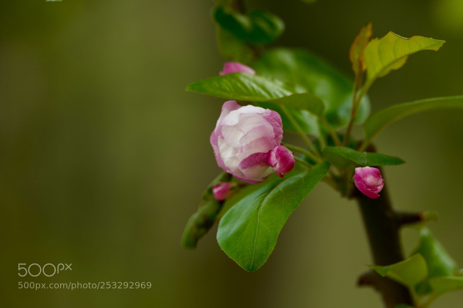 Leica SL (Typ 601) sample photo. Untitled photography