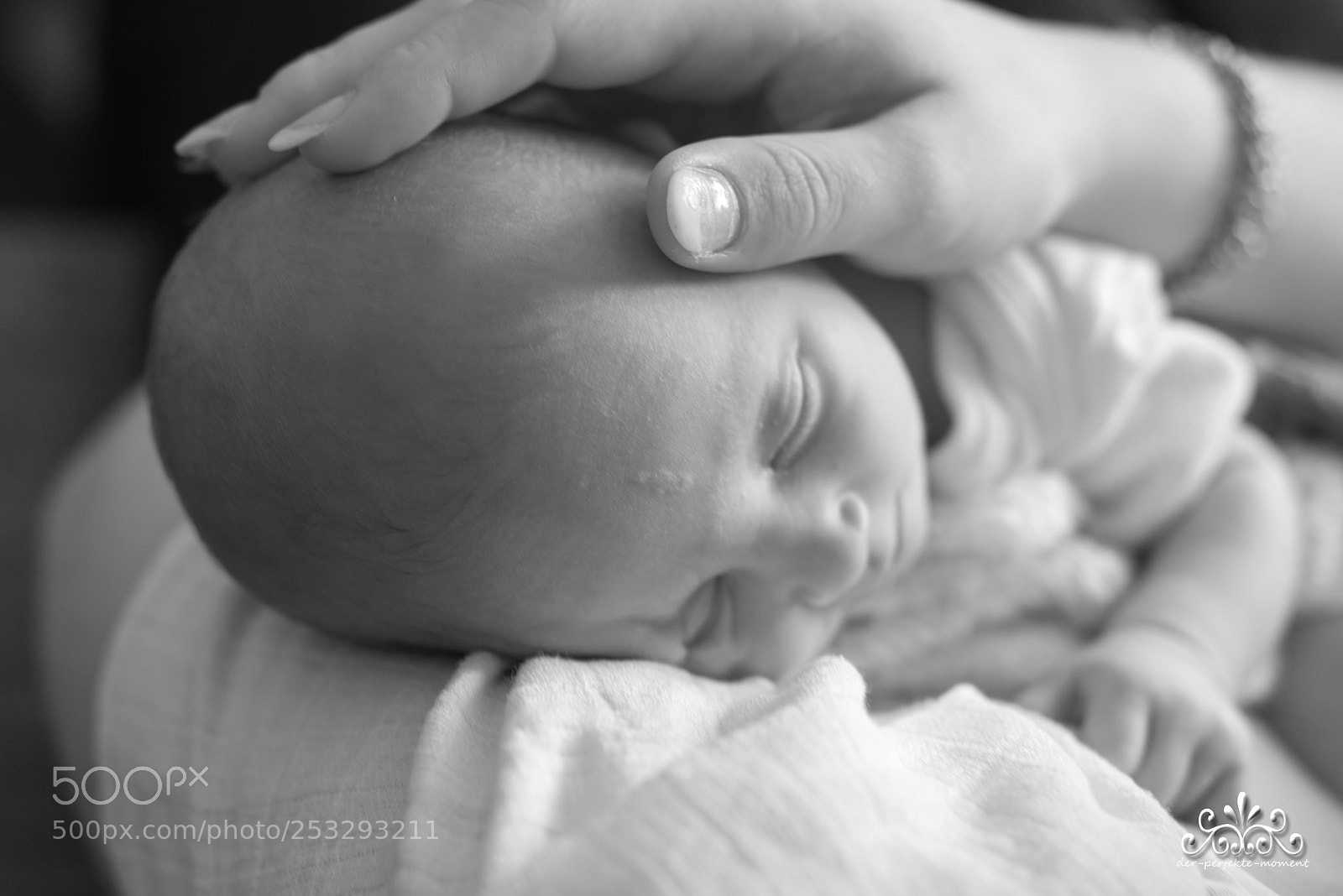 Nikon D800E sample photo. Liebe, geborgenheit und schutz photography