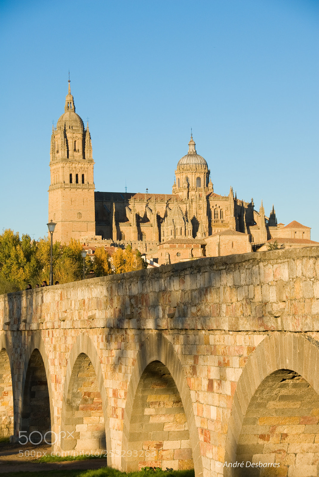 Nikon D200 sample photo. Salamanca photography