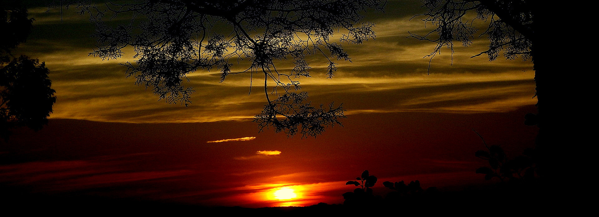 Fujifilm FinePix SL1000 sample photo. In the sunset ....picture photography