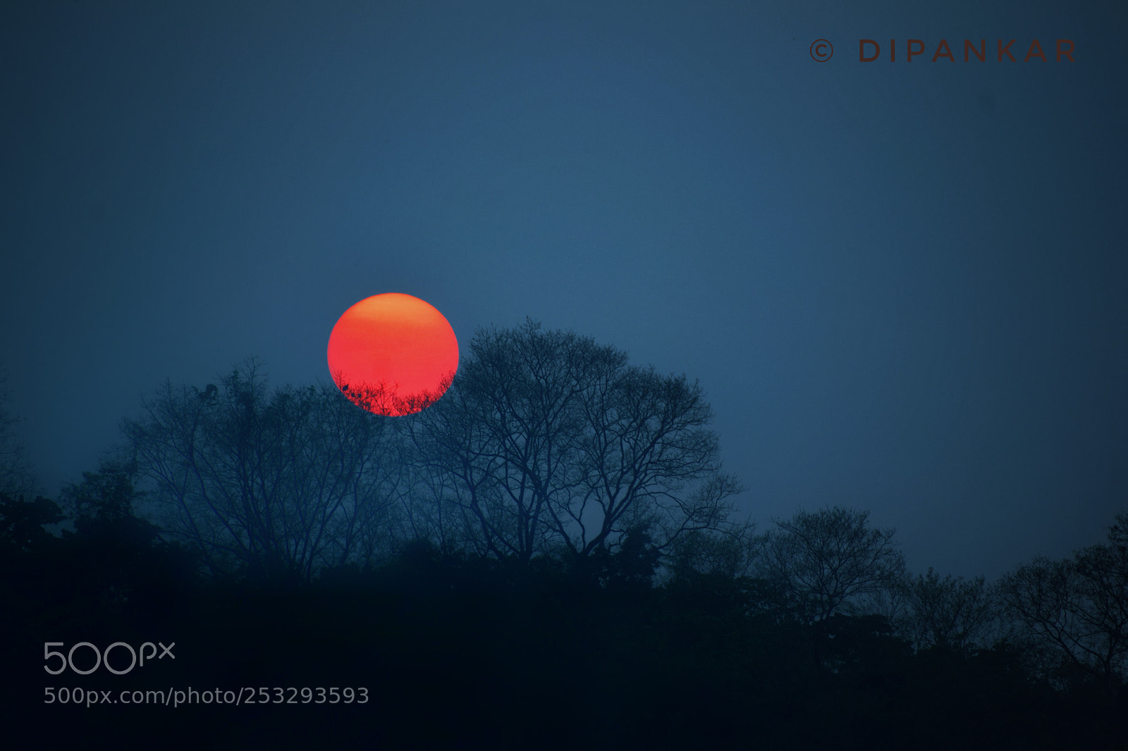 Nikon D5300 sample photo. Sun set photography