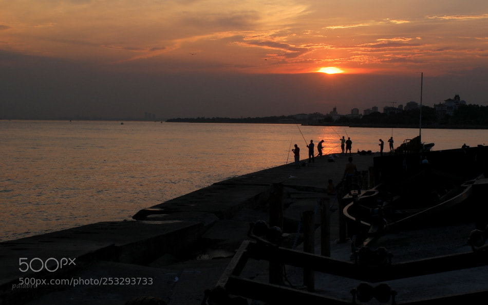 Samsung NX1 sample photo. ... photography