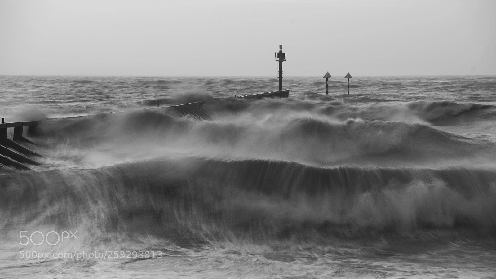Nikon D800 sample photo. Beautiful dramatic black and photography