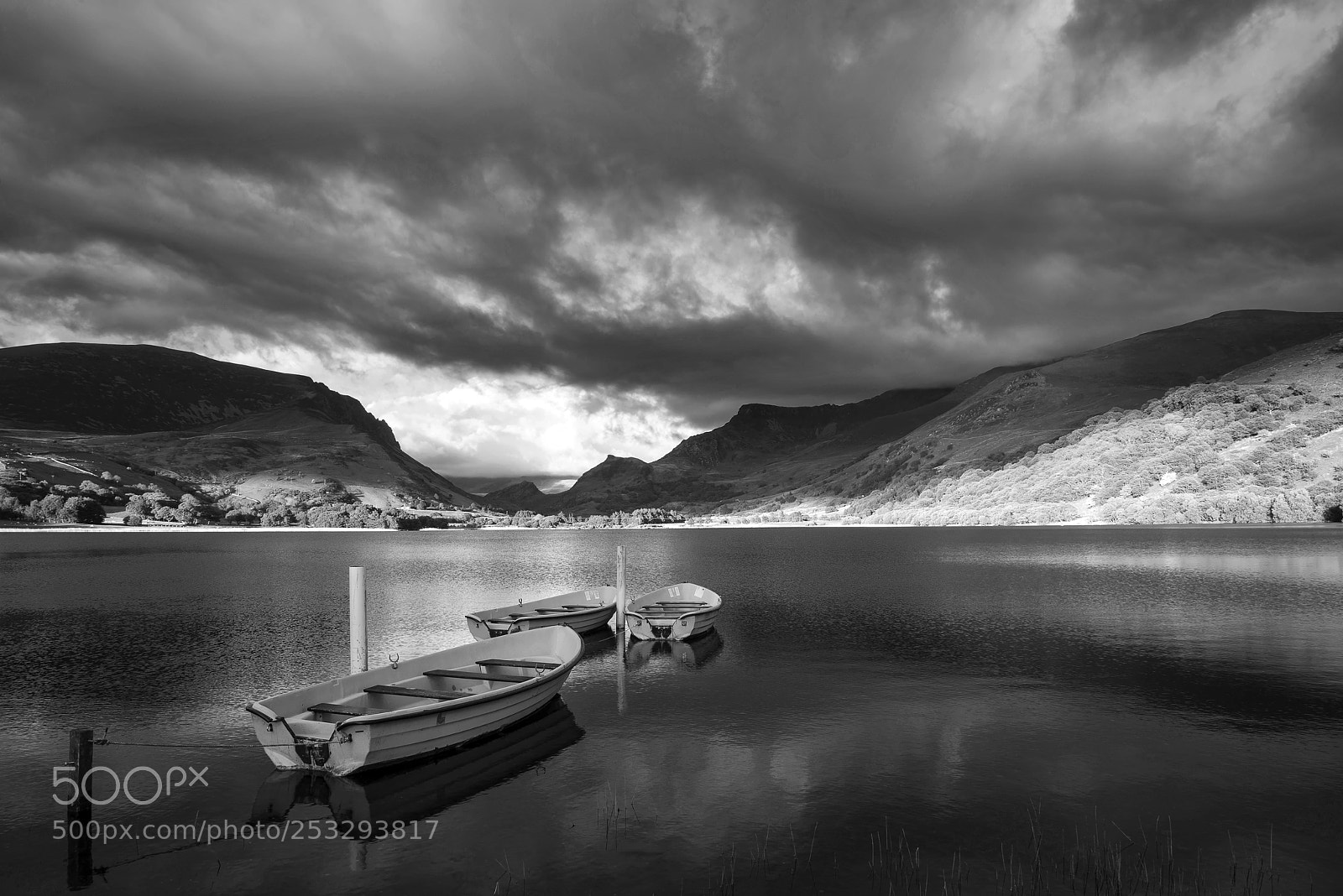 Nikon D800 sample photo. Black and white landscape photography