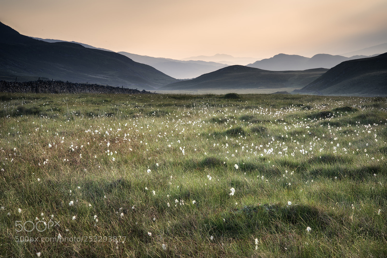 Nikon D600 sample photo. Landscape view along countryside photography
