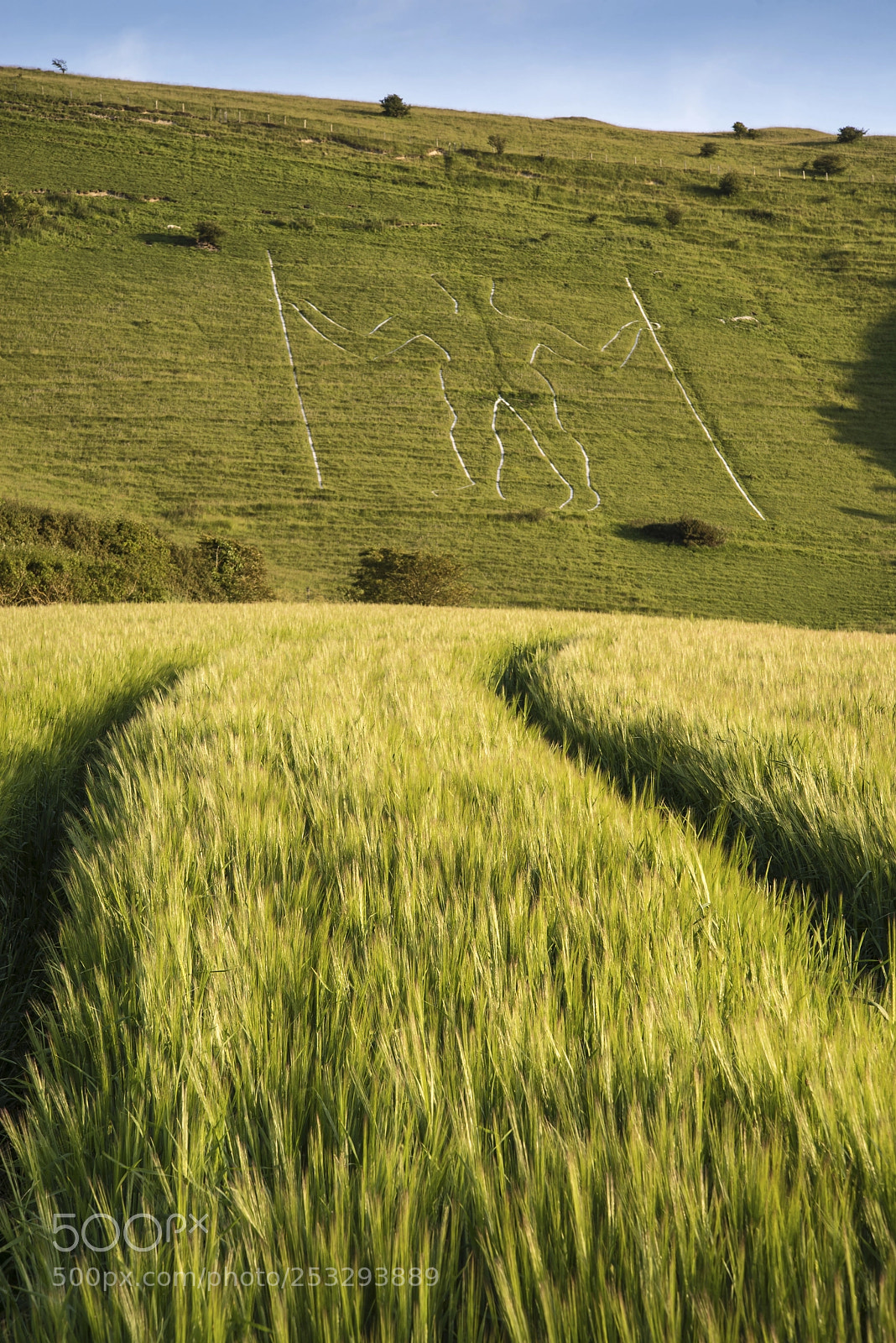 Nikon D600 sample photo. Landscape image of long photography