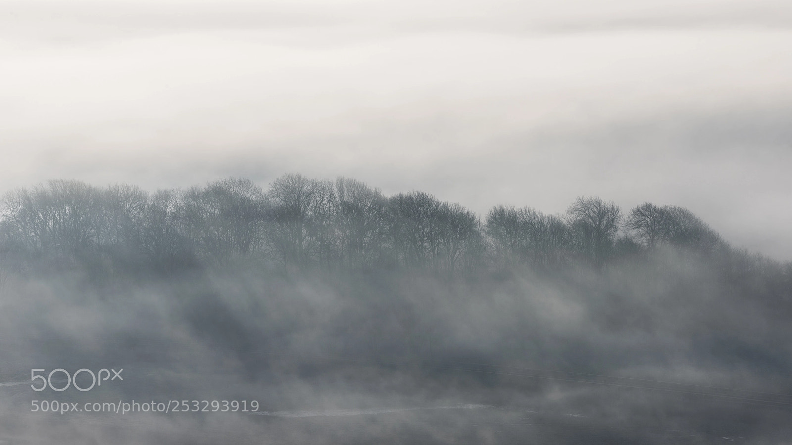 Nikon D800 sample photo. Stunning foggy english rural photography