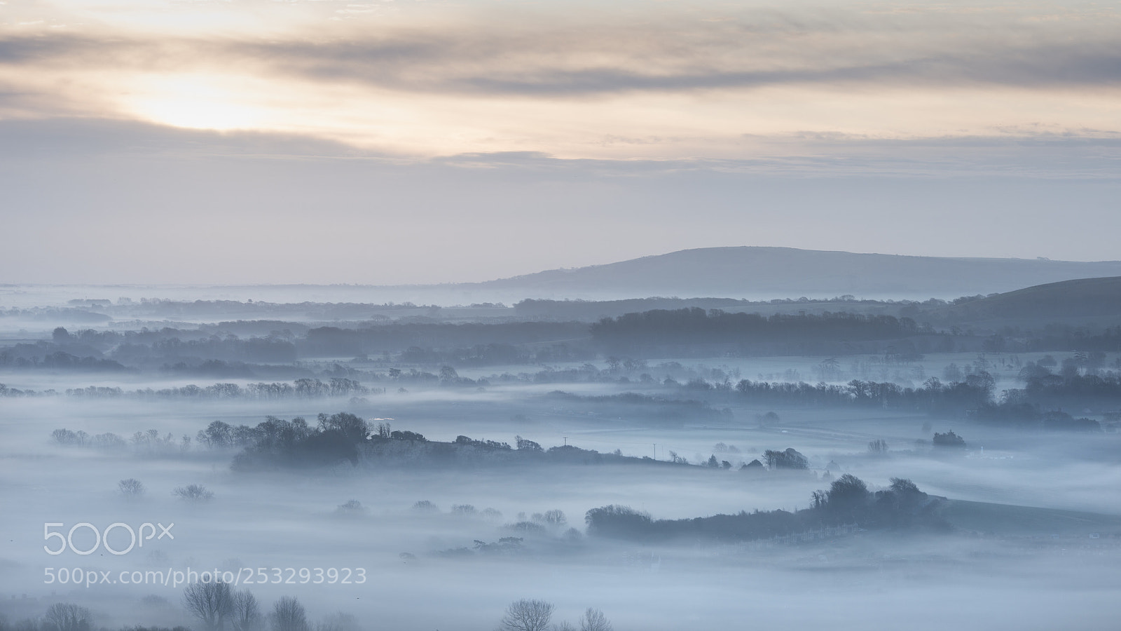 Nikon D800 sample photo. Stunning foggy english rural photography