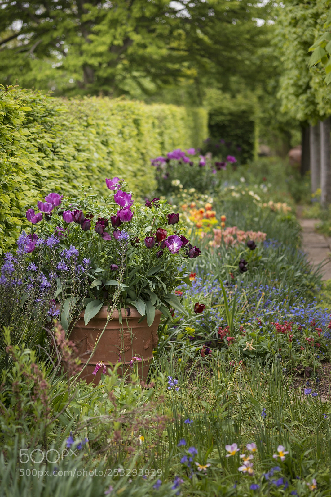 Nikon D800 sample photo. Quintessential vibrant english country photography