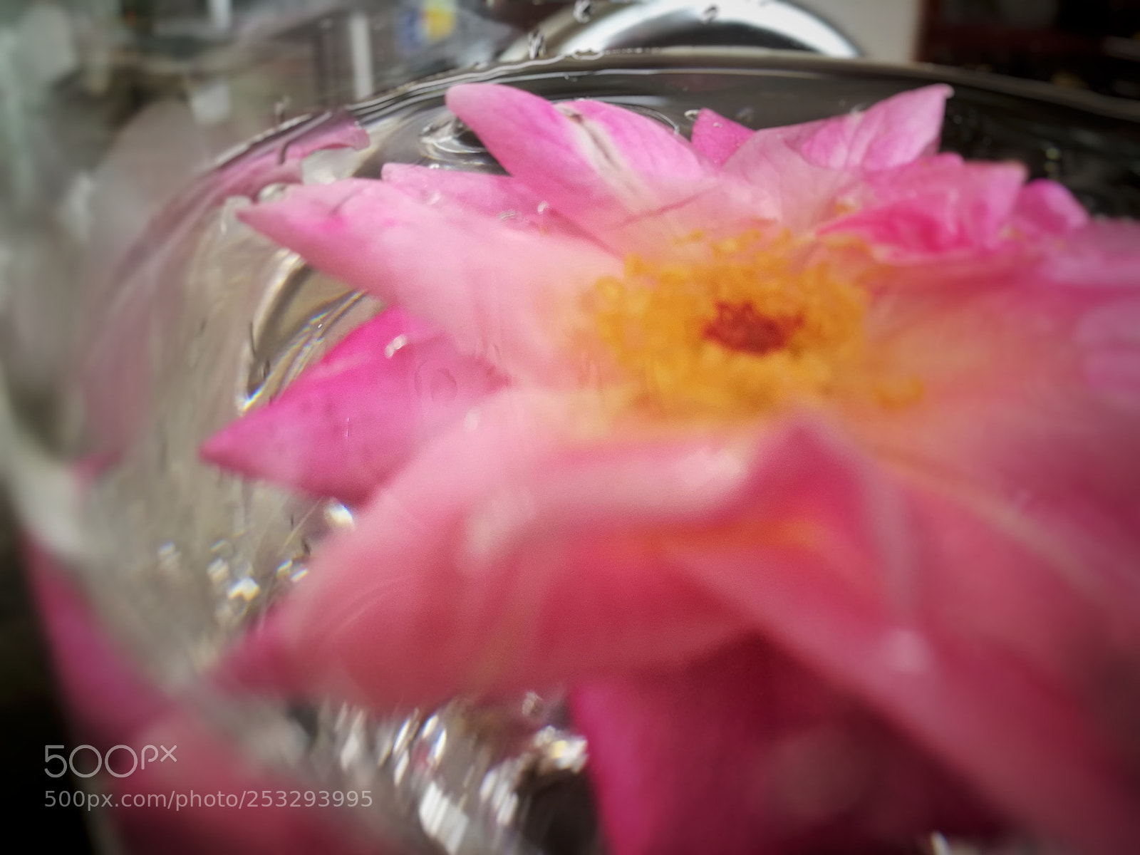 HUAWEI P9 sample photo. Untitled photography