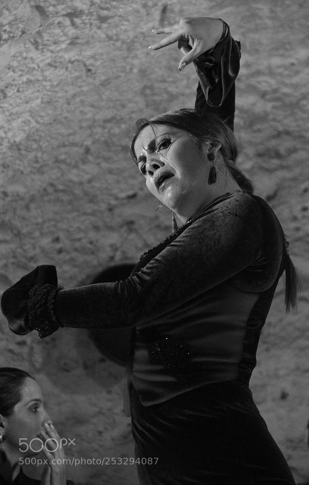 Nikon D7000 sample photo. Flamenco photography