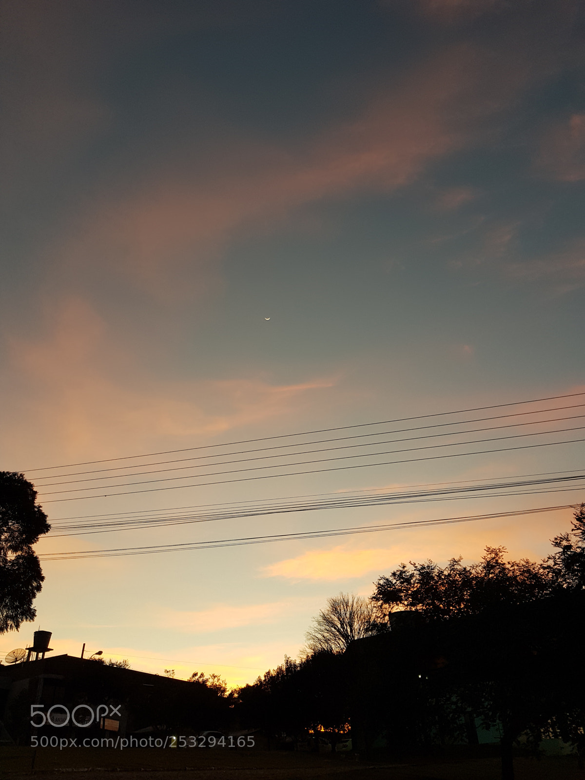Samsung Galaxy S8 sample photo. Untitled photography