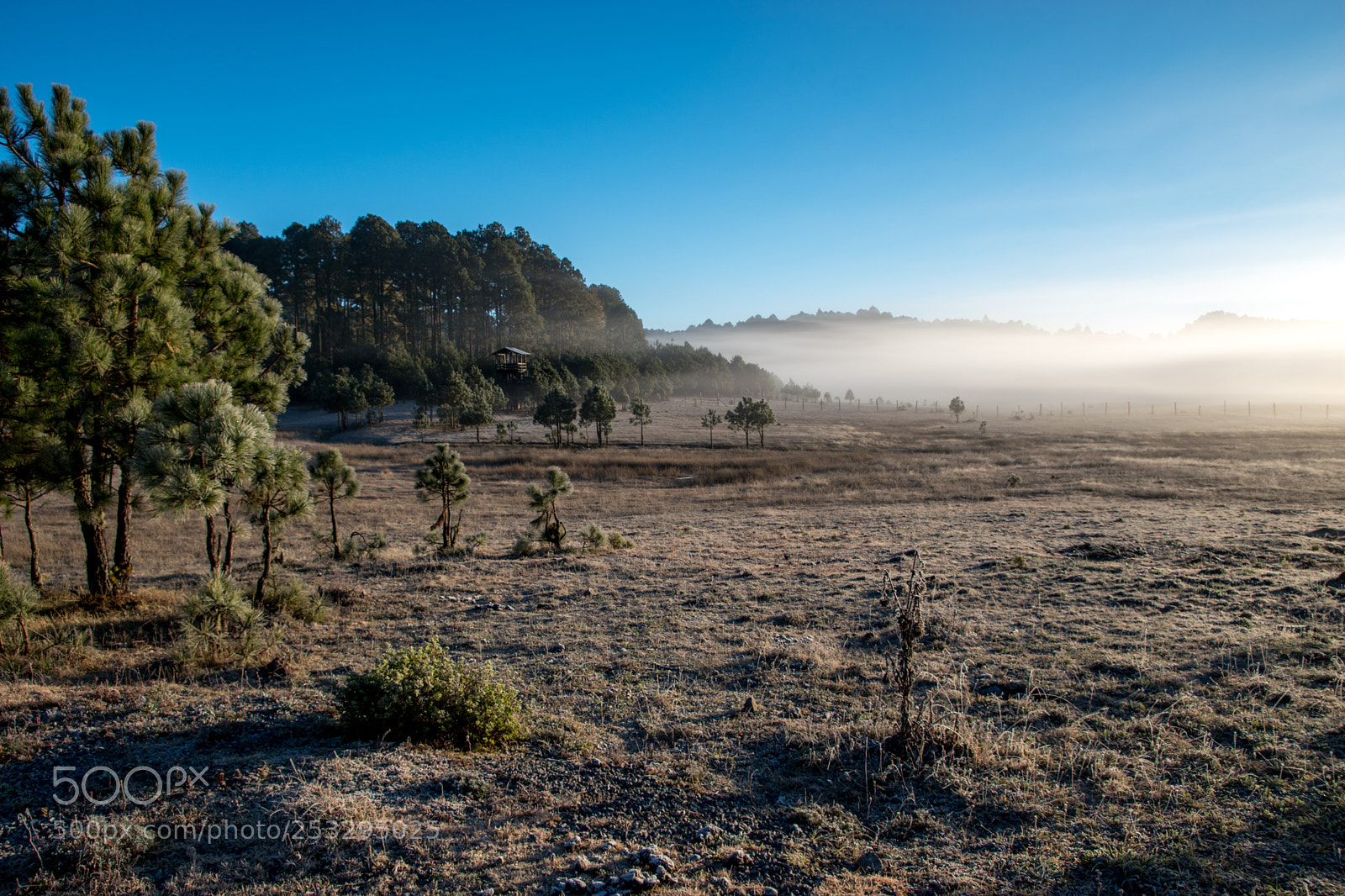 Nikon D5500 sample photo. High plateau photography