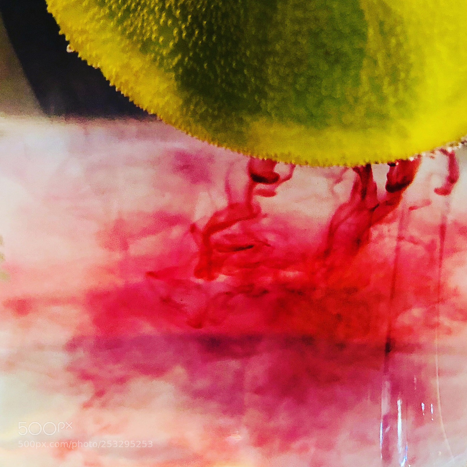 Apple iPhone X sample photo. Untitled photography
