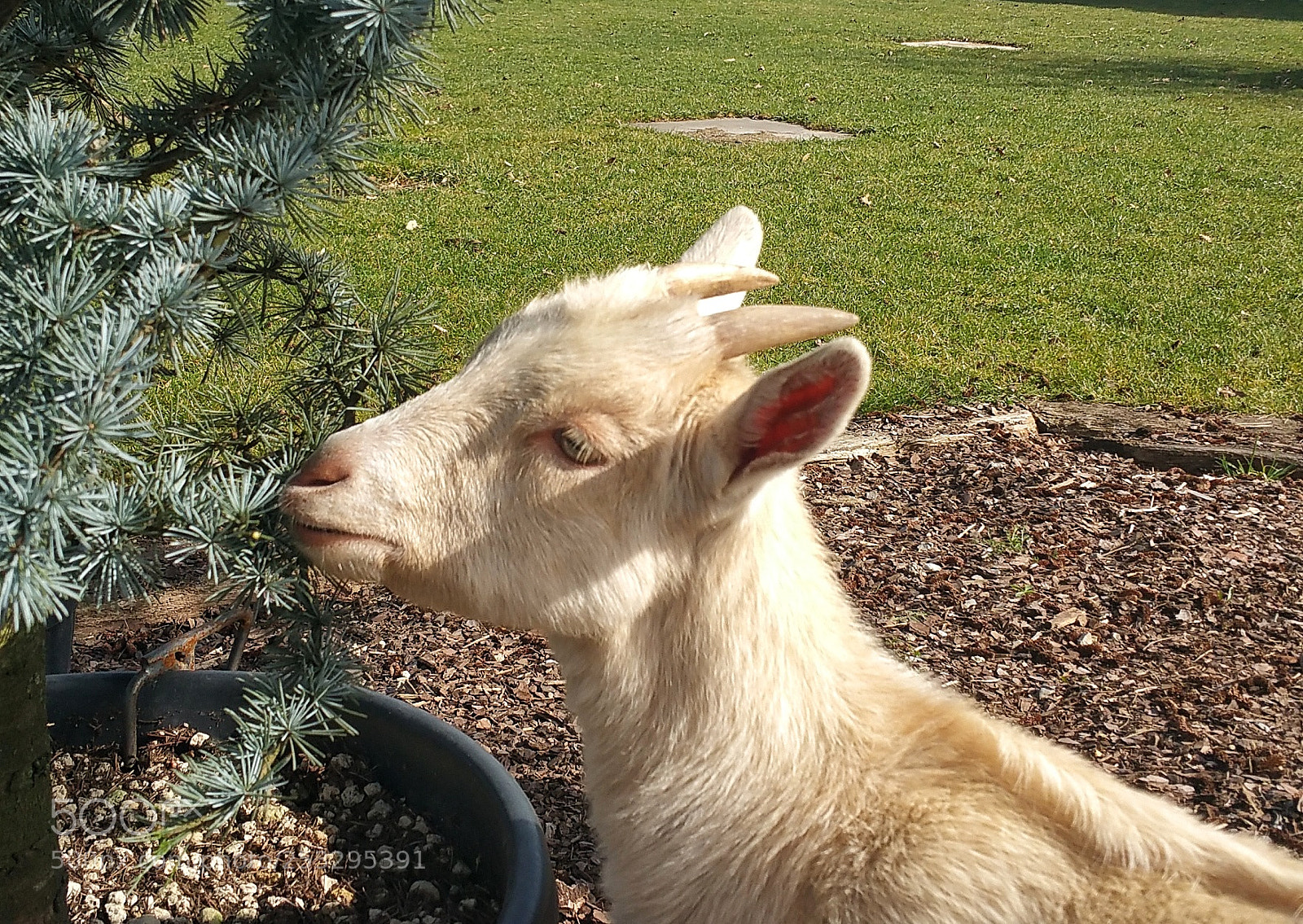 Samsung Galaxy Note4 sample photo. Mmmmh photography