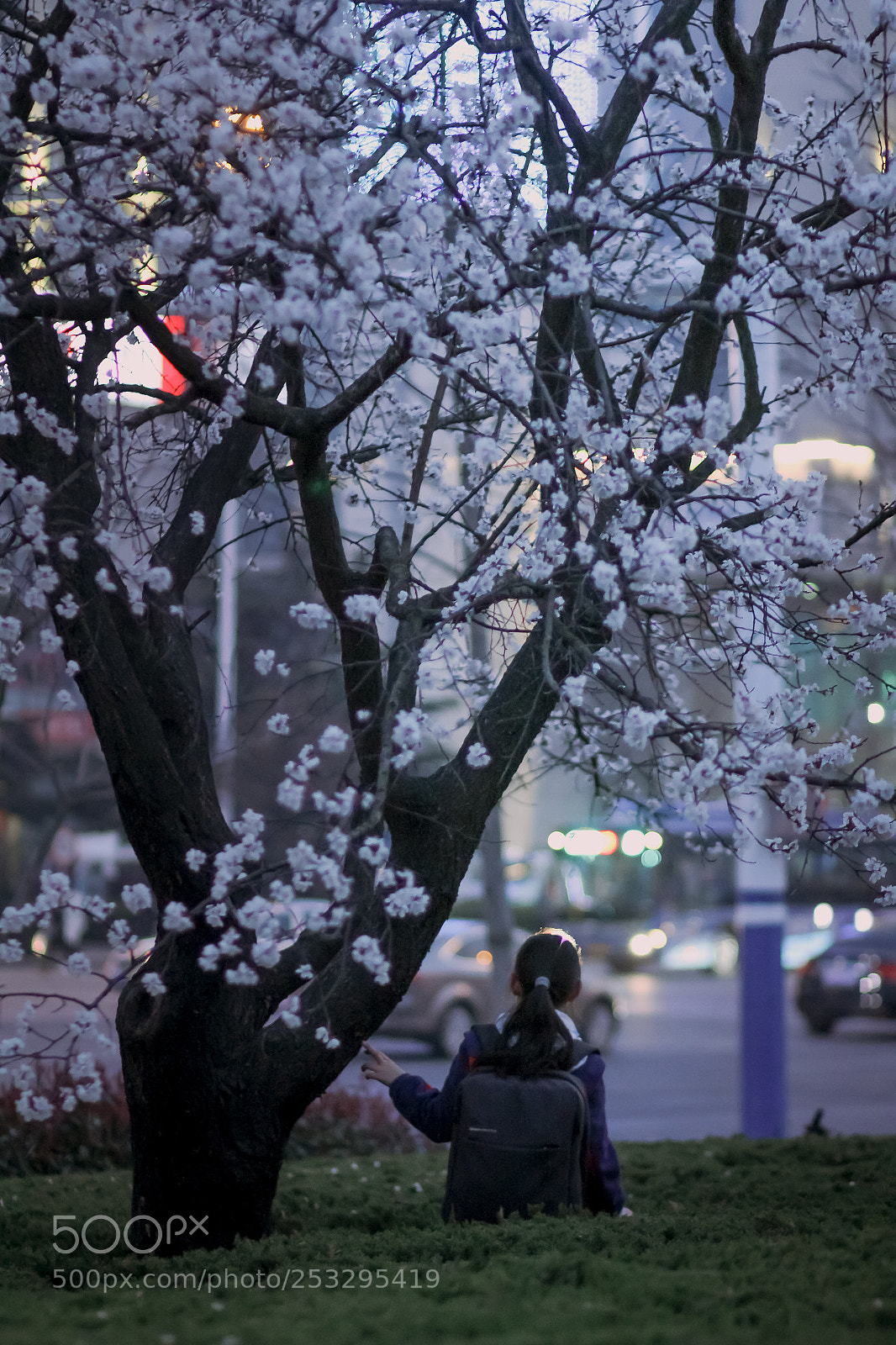 Canon EOS 60D sample photo. Fairy lady photography