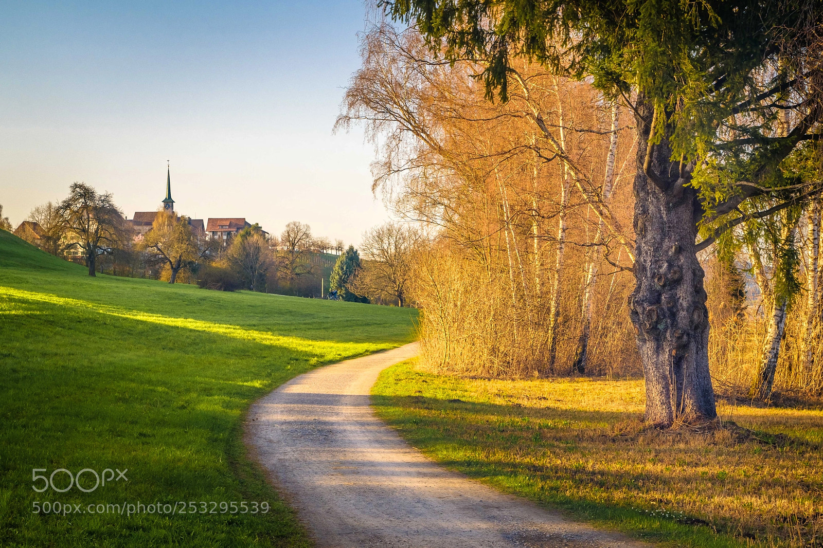 Fujifilm X-T2 sample photo. Swiss country side photography