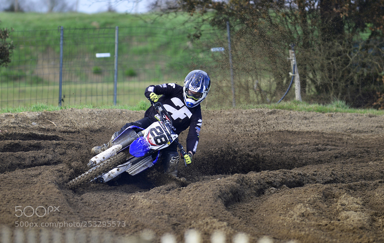 Nikon D800 sample photo. Copie photography