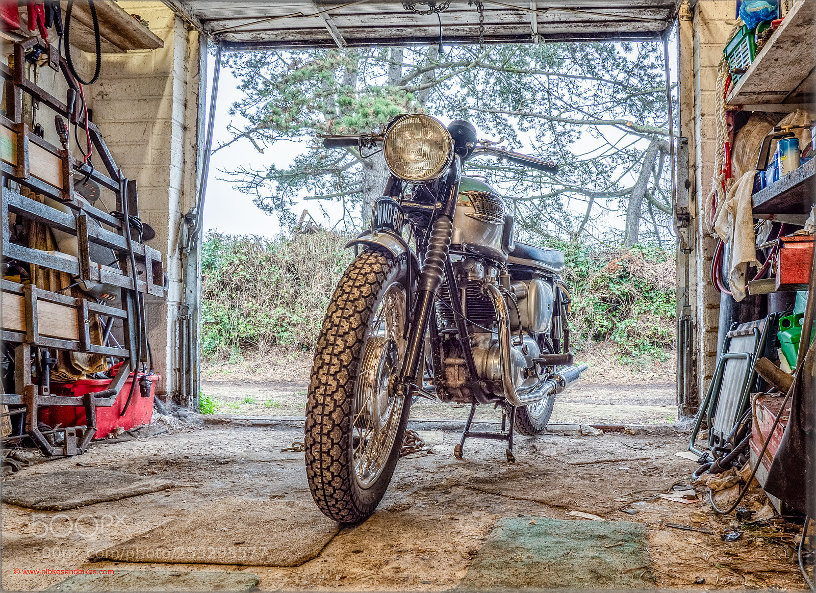 Olympus OM-D E-M1 Mark II sample photo. Colins bonnie photography