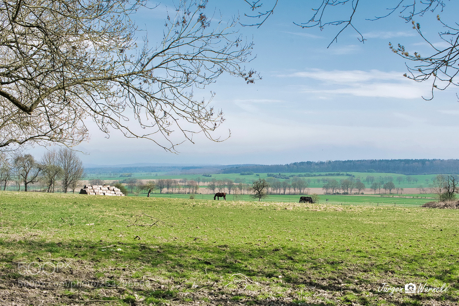Panasonic Lumix DMC-GX7 sample photo. Horseland photography