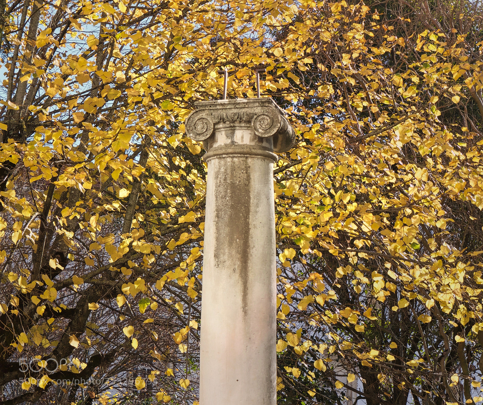 Panasonic Lumix DMC-G1 sample photo. The  lonely column photography