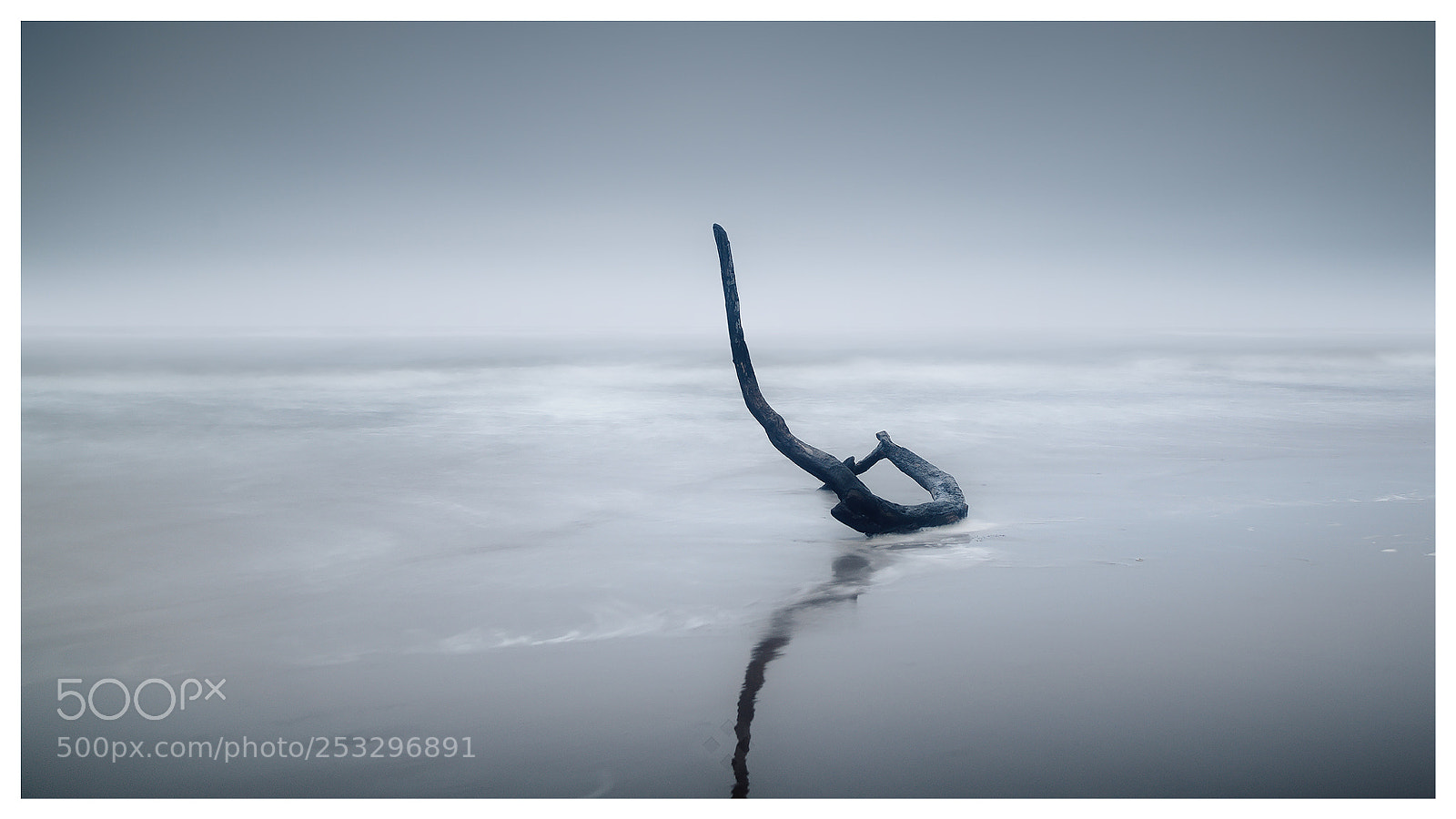 Canon EOS 5D Mark II sample photo. Sea serpent photography