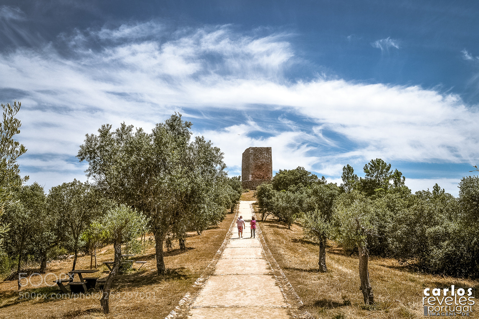 Nikon D5000 sample photo. Castelo de r d photography