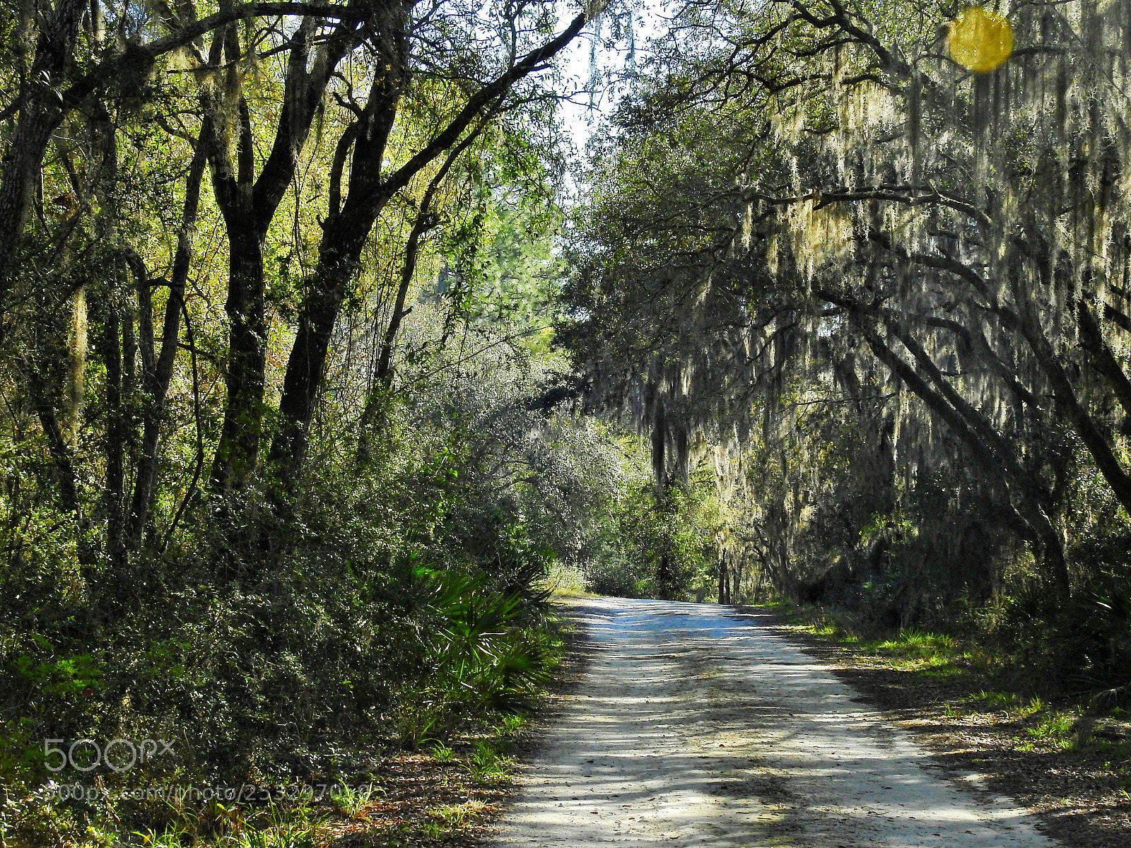 Nikon Coolpix P900 sample photo. Old florida photography