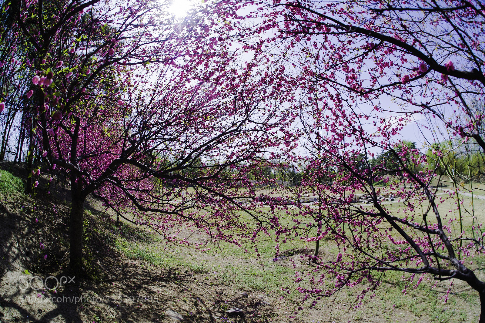 Nikon D3S sample photo. Untitled photography