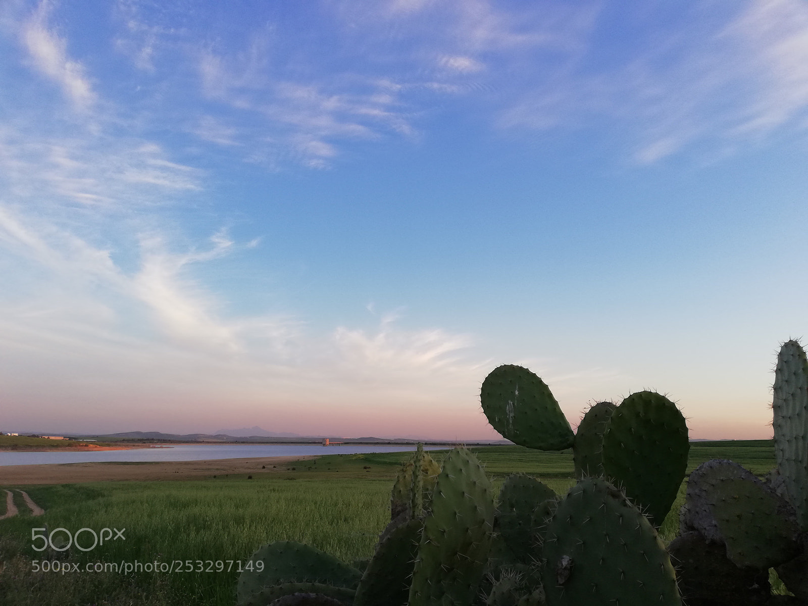 HUAWEI Mate 10 Lite sample photo. Love of nature photography