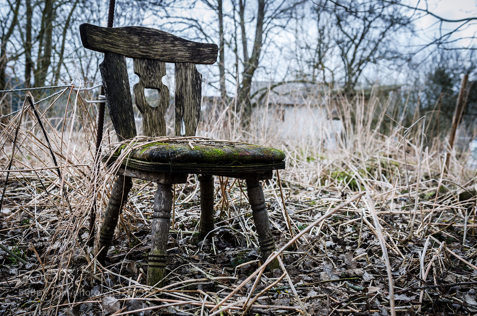 Nikon D7000 sample photo. Who was the last photography