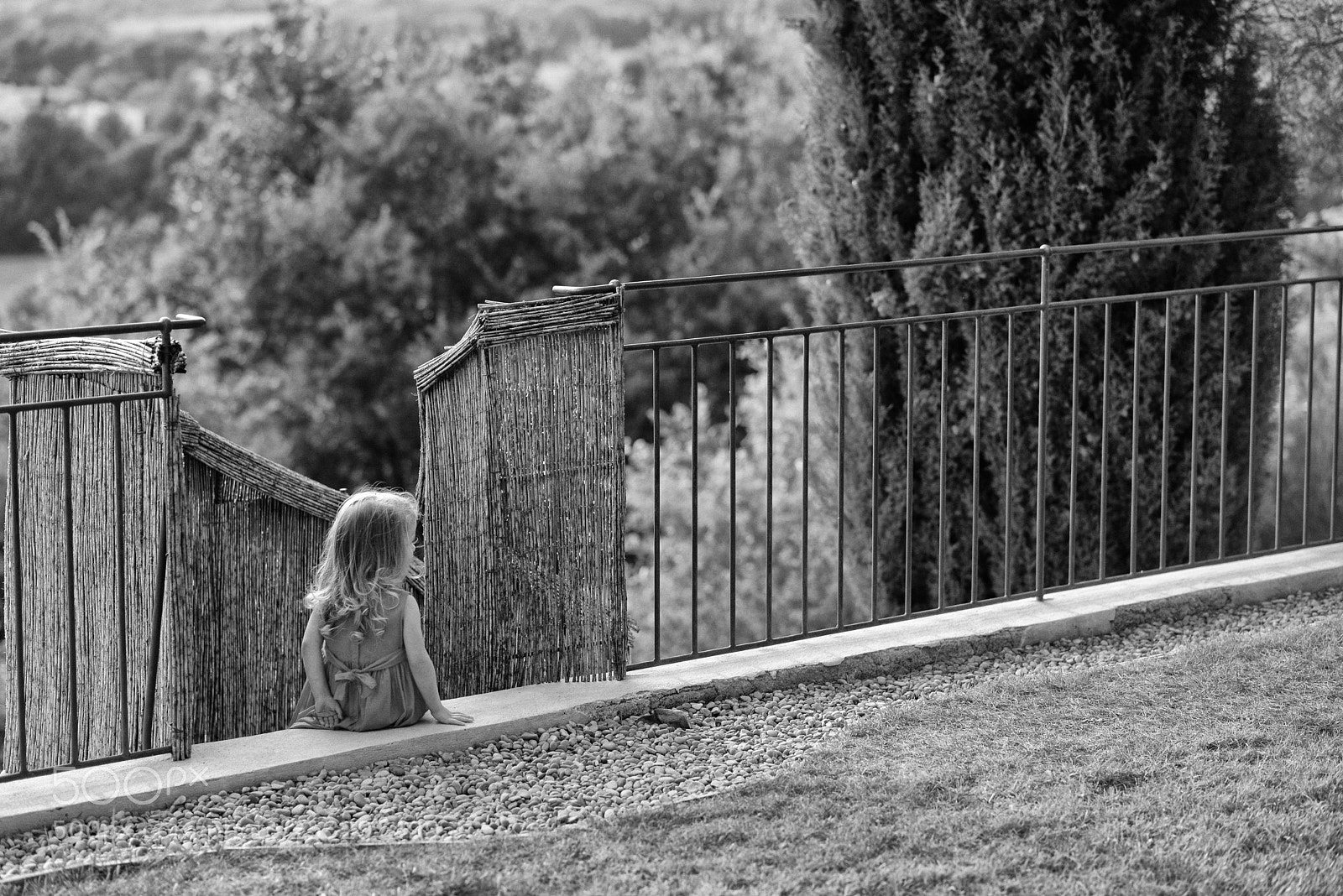 Nikon D600 sample photo. Life ahead photography