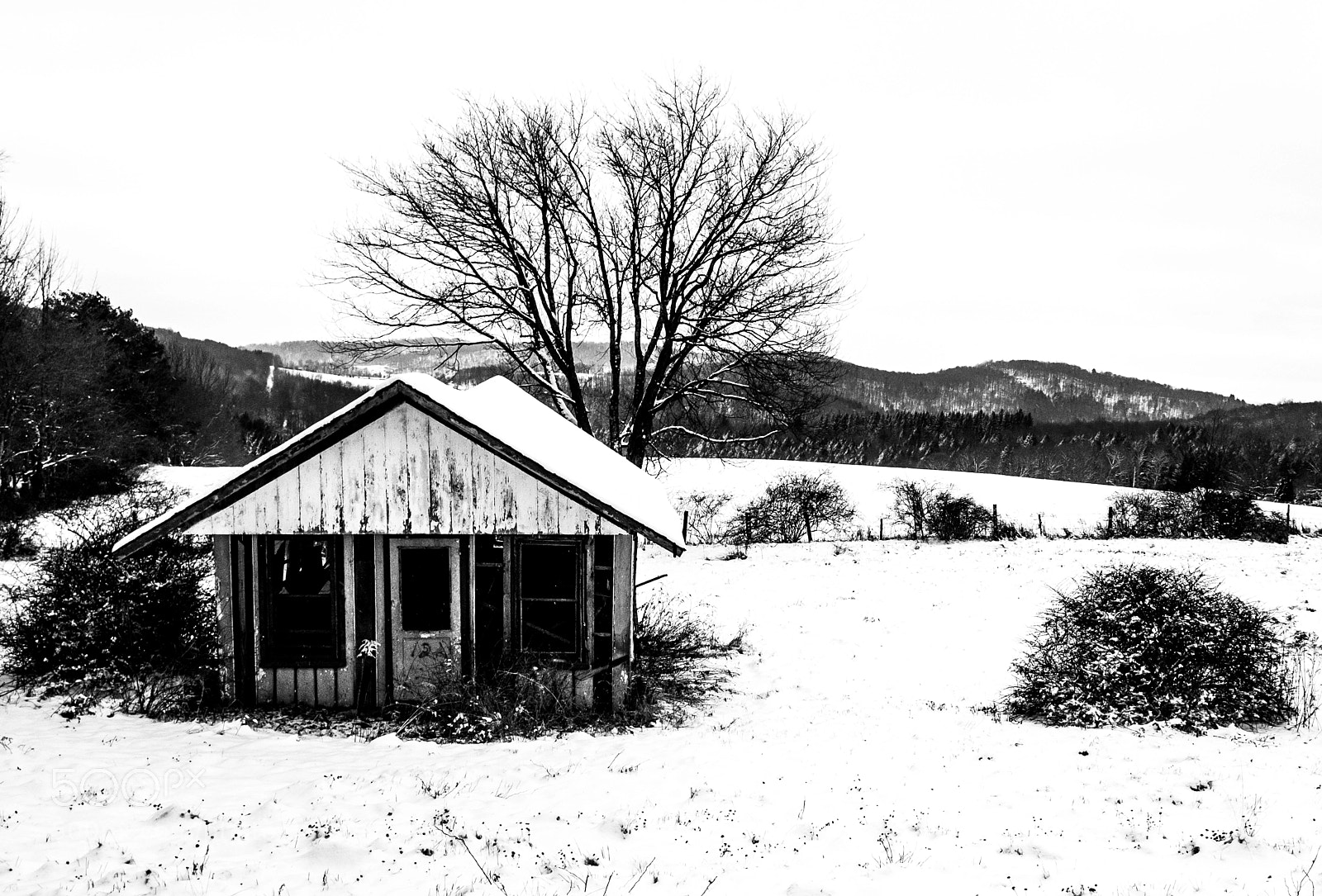 Fujifilm X-Pro1 sample photo. Cabin in winter photography